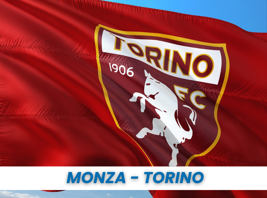 Monza - Torino